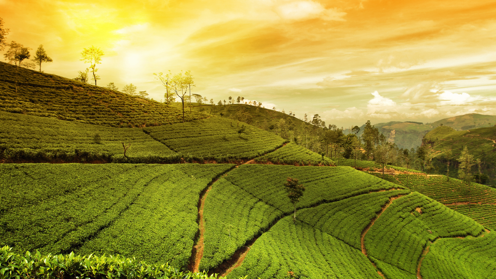 best itinerary for Kerala look book fly
