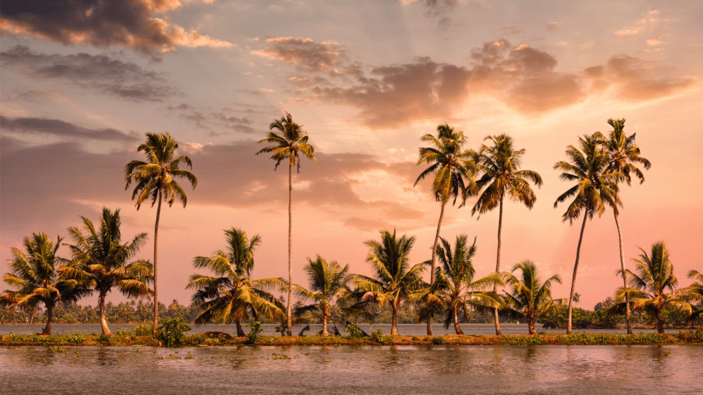 Best Kerala trip look book fly