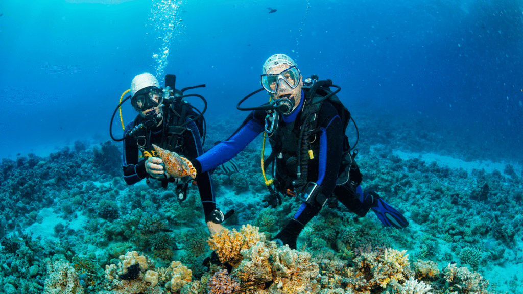 Scuba Diving Classes Near Me